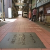 山を越えて日本海を見たお話〈徒歩鯖街道〉