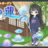 氷の蓮　イベントタネ再入荷