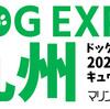 DOG EXPO KYUSHU 2020 in マリンメッセ福岡