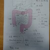 ちょっぴり閲覧注意？問合せの多い手術痕はこんな感じ