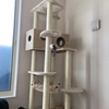 猫のために白い巨塔（茶色いけど）を建ててやったよ！さぁキャットタワーを楽しんでちょうだい！！