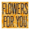  Nick Sole / Flowers For You