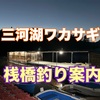 🎣【2025年版】三河湖ワカサギ桟橋釣りのご案内【ドーム新設！】