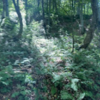 青森　世界遺産白神山地へ　暗門白神号のバス旅　
