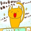 占ってみた20240821
