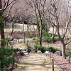 京都ｄｅお散歩　１６９　～宇治植物園～