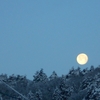 朝から雪降り