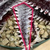 Dyckia 'All Star' の生育記録から見えた、Dyckia の葉にトリコームを載せる条件