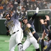 阪神タイガース（2021）巨人戦～強さを見せつけられた試合～【プロ野球】