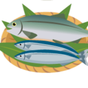 汐見商店オーガニックブログ