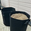 初コンポストから20日後