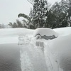 雪は綺麗だけど怖い