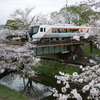 【各務原】新境川堤の百十郎桜。鉄道と桜三昧。