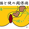 昨晩は朝のトイレを済ませなかったまま一日が過ぎ夜間に便意を催すも出ずに最後の手段を…