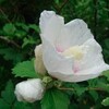 ゆっくりと時間が過ぎるのもいい。