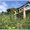 京の秋の散歩「梨木神社の萩まつり」