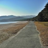 砂浜と黒松林