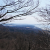 弥彦山で花歩き