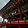2泊3日釜山旅①＜1日目：金海観光とアレルギー薬＞