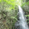 川苔山（1,364m）