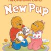 ペットとして犬を飼うことの喜びや大変さを教えてくれる、ICRシリーズLevel 1から『The Berenstain Bears' New Pup』のご紹介