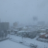 大雪です