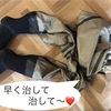 ウエーダーの補修