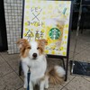 久しぶりにスタバへ♡