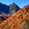西沢渓谷で山梨県屈指の絶景紅葉を撮影。