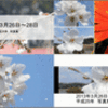 【風景写真動画０１１】［２０１３年３月２６日～３月２８日］【う山ＴＶ】