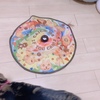 あいつでもダメなのか！？！？
