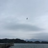 島へディキャンプ：カモメ舞う空にストーブで温まるの日