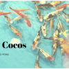 塩釜口の室内釣り堀「New Cocos」が楽しい！