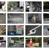 【250回記念】池袋ネコ歩きminiなカメラ散歩。【猫塗れ大集合！】