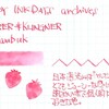#0740 ROHRER & KLINGNER Fernambuk