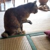 臨時休業