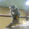 ２０２３／０４／１４　東武動物公園