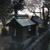 【滋賀】琵琶湖沿いの桜と、金比羅辨財天宮