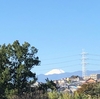 冠雪の富士山が見れました