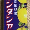国会スイング