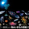 考察★サイエンスZERO「驚異の深海魚」