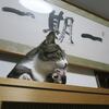 真夜中の落下