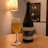 CYCLIC beer farm - XINOXANO