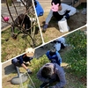 公園で遊びました😆