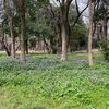 800本を超えました　goo blog  皆さんが心の支え