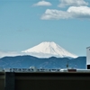 4月11日　春の雪