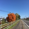 網走紅葉してます 秋華賞予想