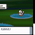 ポケモンdp 最初に戦うムックルにヒコザルが負ける確率はどれくらい 月を眺める孤島