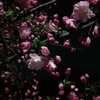 私はこれをやめたら走力が落ちました