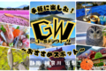 【まとめ】GWを手軽に楽しむ！おすすめスポット！(神奈川/ 山梨/ 静岡)